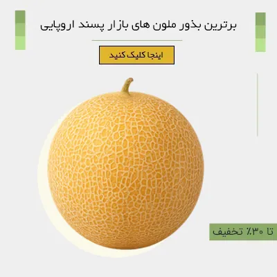 زیباسازی خانه با جذاب ترین تراریوم ها
