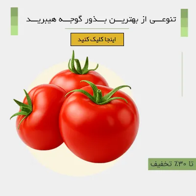 تنوعی از کاکتوس های جذاب و متفاوت