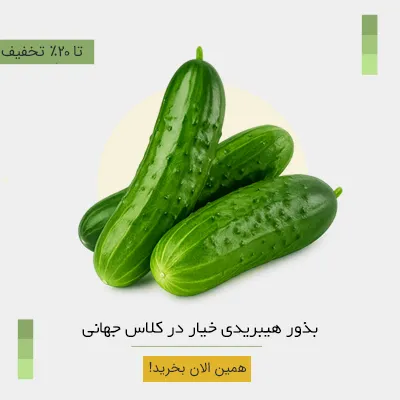 انواع گلدان برای تمامی سلیقه ها