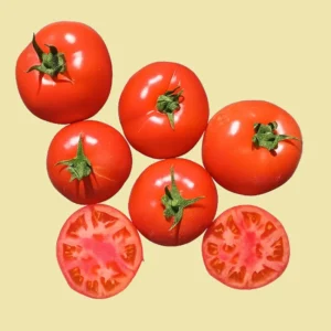 خرید از نمایندگی و قیمت بذر گوجه لیا F1 کد N44