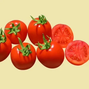 نمایندگی خرید و قیمت بذر گوجه لینا F1 کد N65