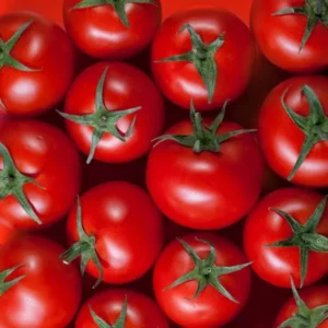 خرید و قیمت بذر گوجه فرنگی روبی هیبرید کد T65